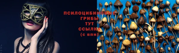 твердый Беломорск
