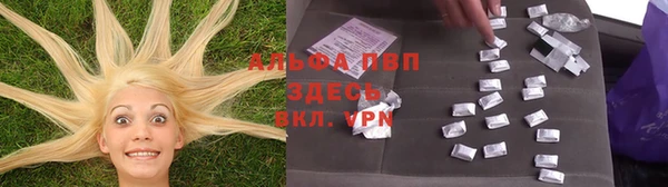 ешки Белокуриха