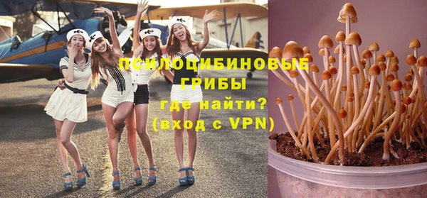 молекула духа Балабаново