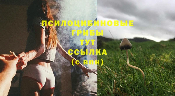 ешки Белокуриха