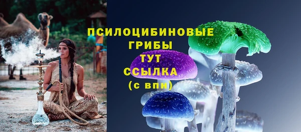 ешки Белокуриха