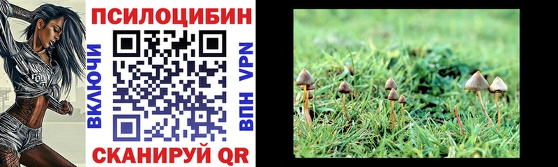 Галлюциногенные грибы Magic Shrooms Усть-Кут